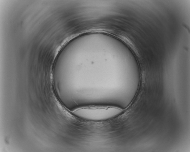 X0000103161428200809051650