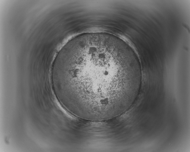 X0000103161429200809051650