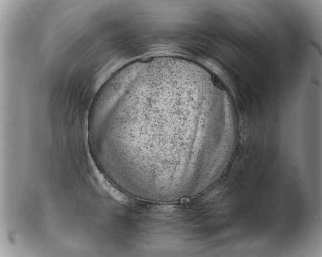 X0000103161431200809051650