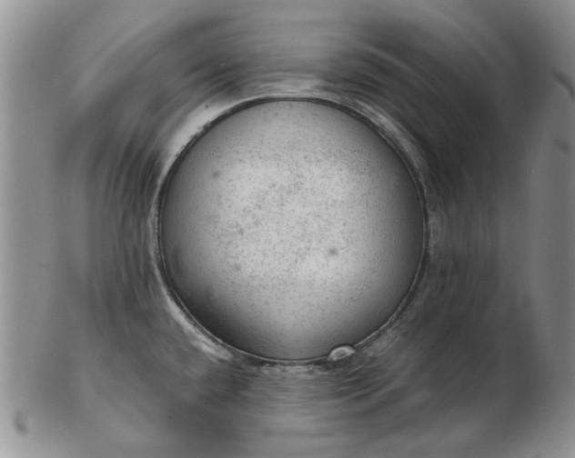 X0000103161432200809051650