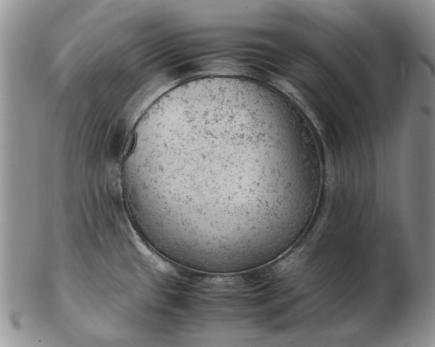 X0000103161433200809051650