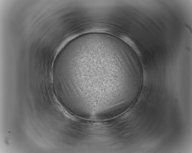 X0000103161436200809051650