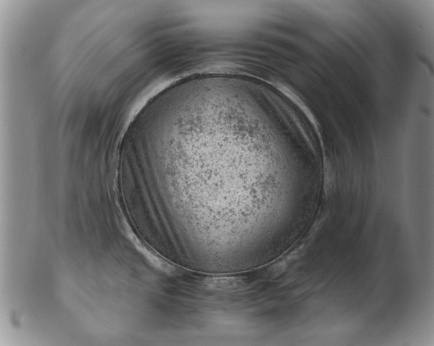 X0000103161437200809051650