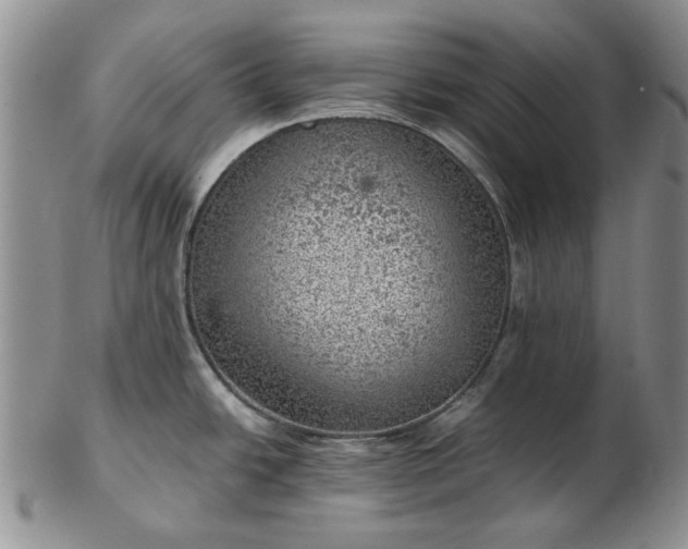 X0000103161438200809051650