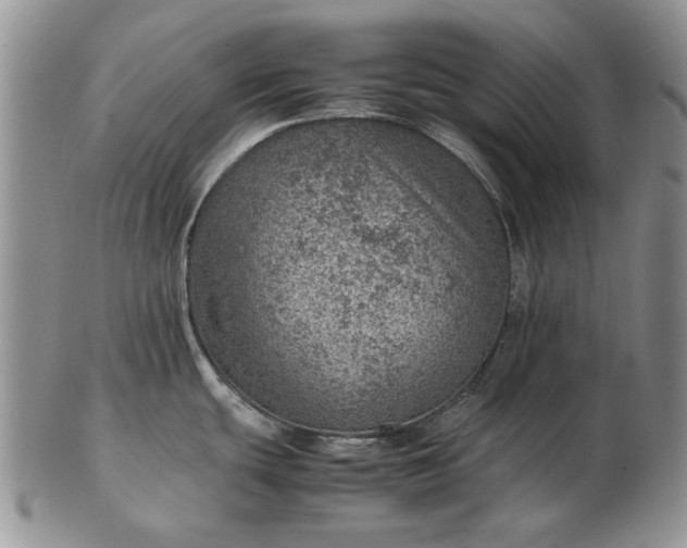 X0000103161439200809051650