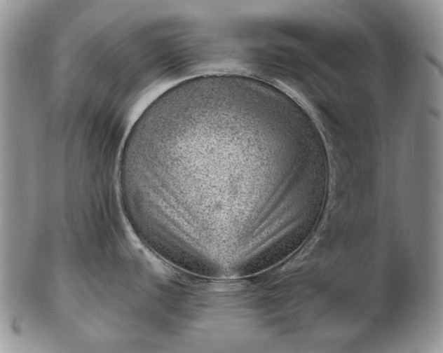 X0000103161440200809051650