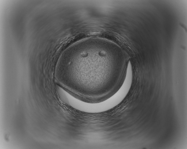 X0000103161441200809051649