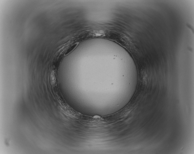 X0000103161442200809051649