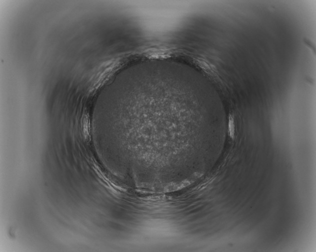 X0000103161444200809051649