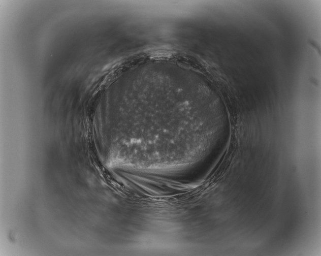 X0000103161445200809051649