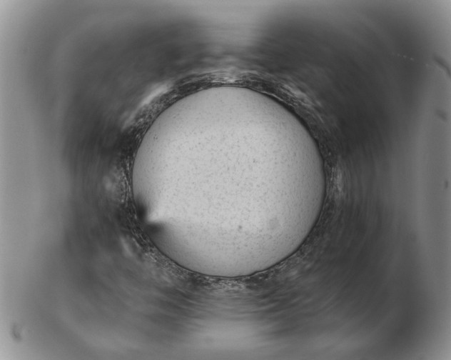 X0000103161446200809051649