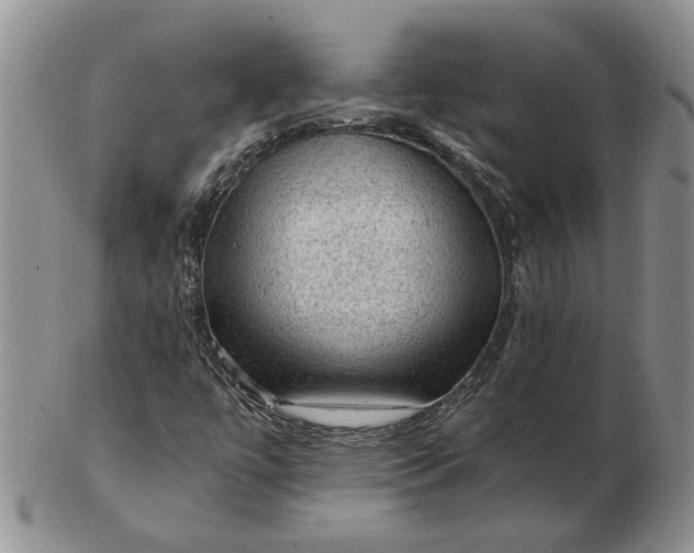 X0000103161447200809051649