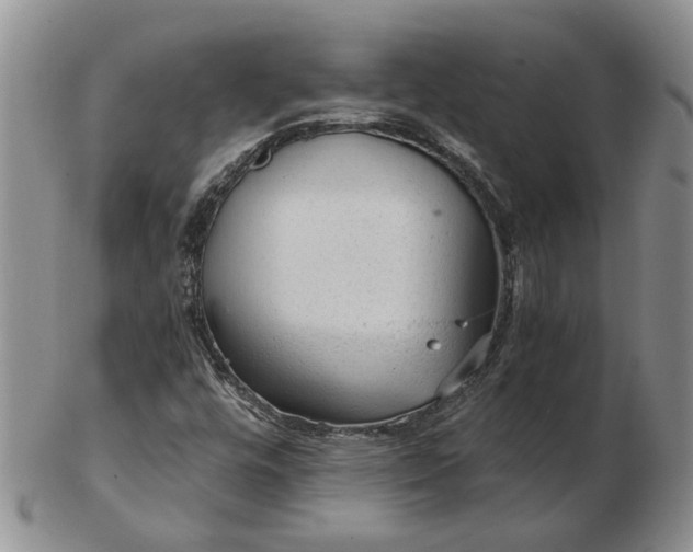 X0000103161448200809051649