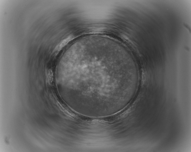 X0000103161449200809051649