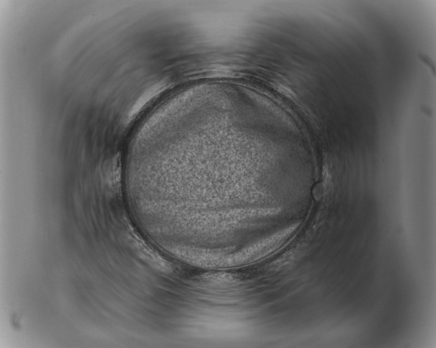 X0000103161450200809051649