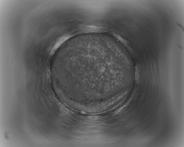 X0000103161453200809051649