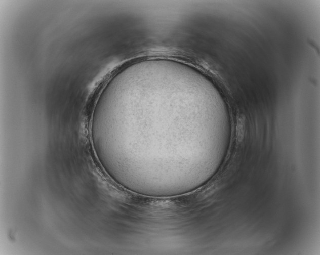 X0000103161454200809051649