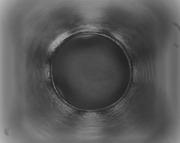 X0000103161455200809051649