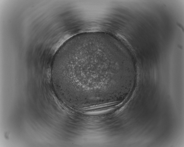 X0000103161457200809051649