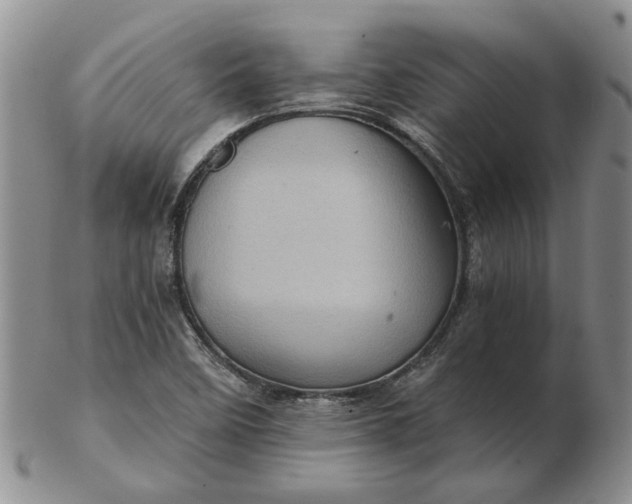 X0000103161458200809051649