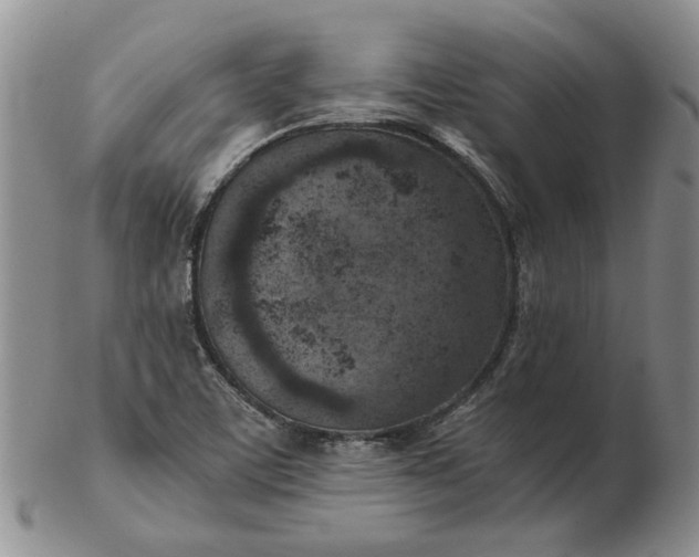 X0000103161459200809051649