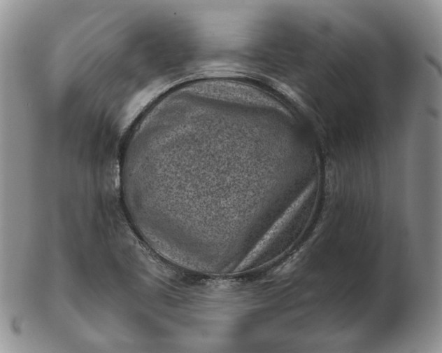 X0000103161461200809051649