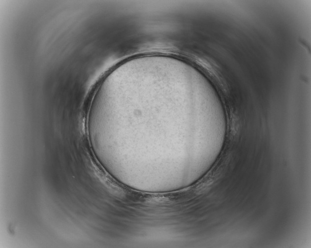 X0000103161462200809051649