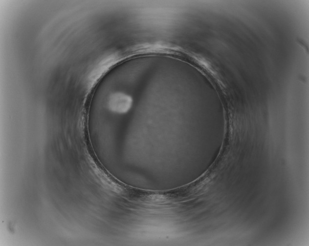 X0000103161463200809051649