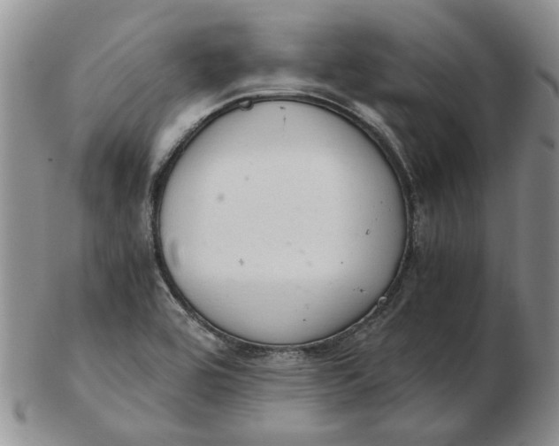 X0000103161464200809051649