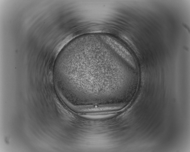 X0000103161465200809051649