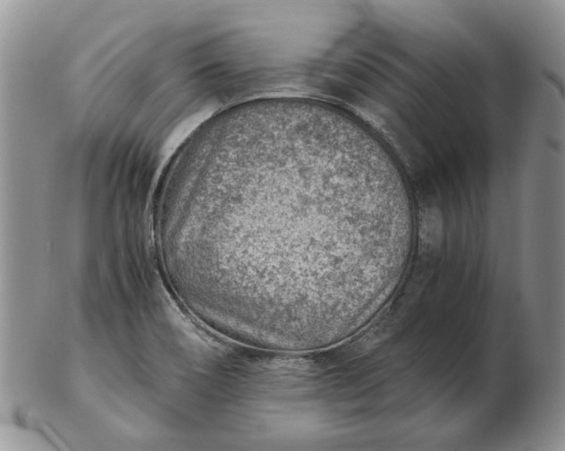 X0000103161466200809051649