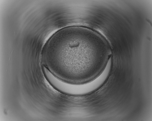 X0000103161468200809051649