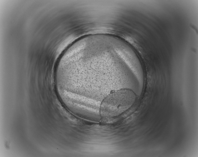 X0000103161469200809051649