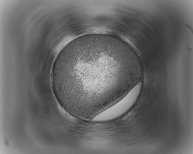 X0000103161471200809051649