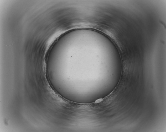 X0000103161472200809051649