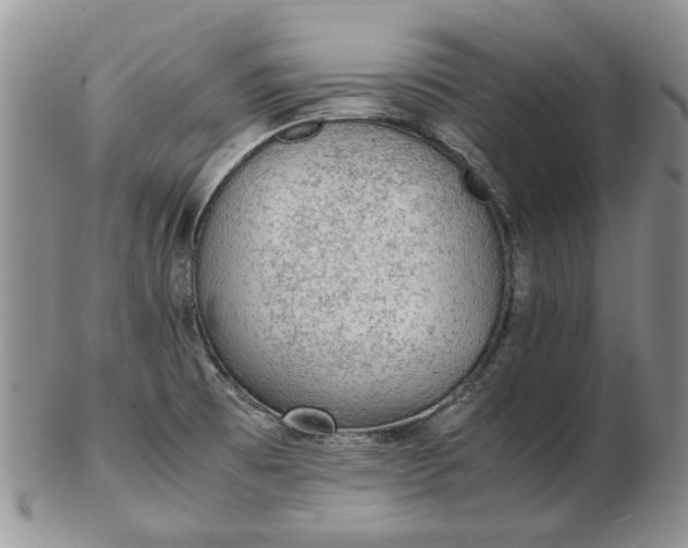 X0000103161473200809051649