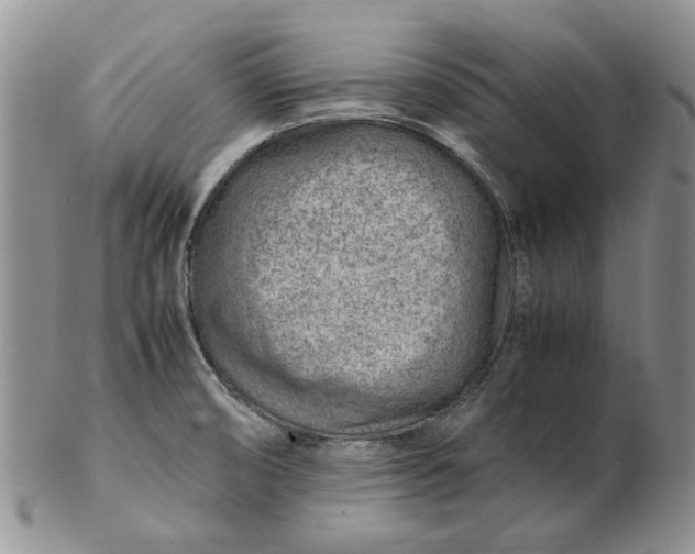 X0000103161474200809051649