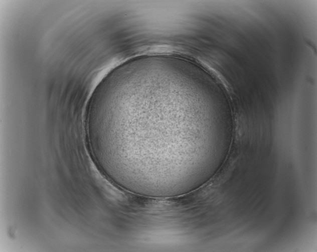 X0000103161475200809051649