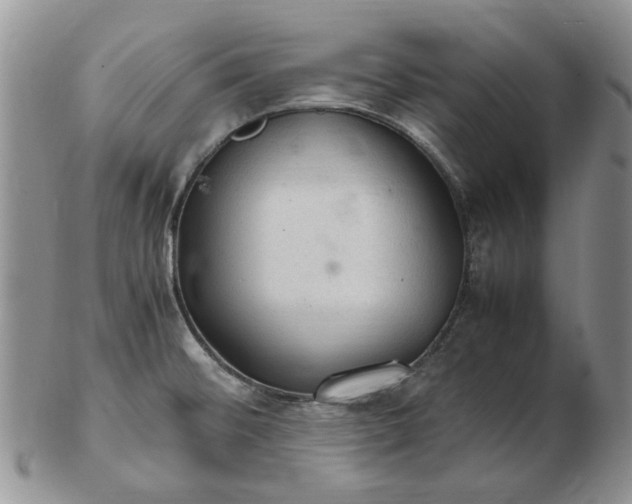 X0000103161476200809051649