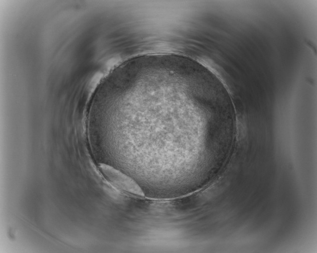 X0000103161477200809051649