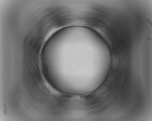 X0000103161478200809051649