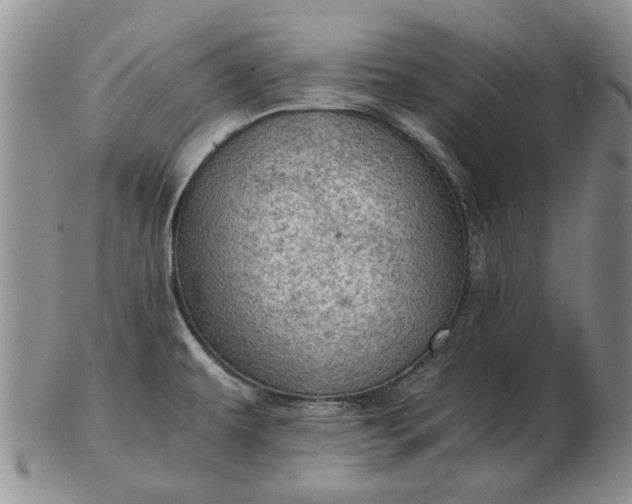 X0000103161479200809051648