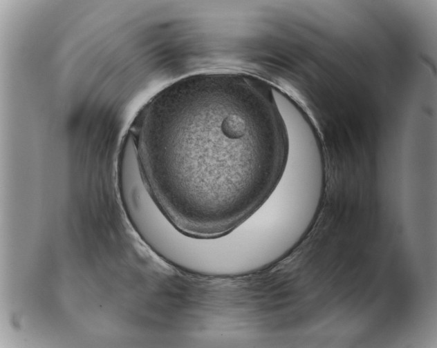 X0000103161480200809051648