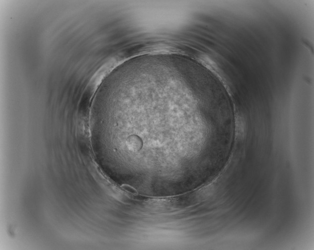 X0000103161481200809051648