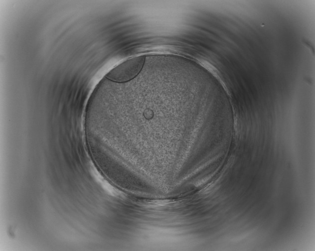 X0000103161482200809051648