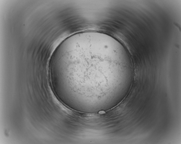 X0000103161483200809051648