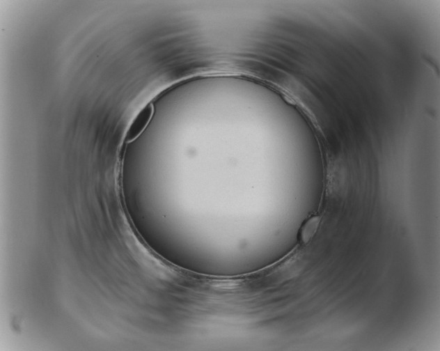 X0000103161484200809051648