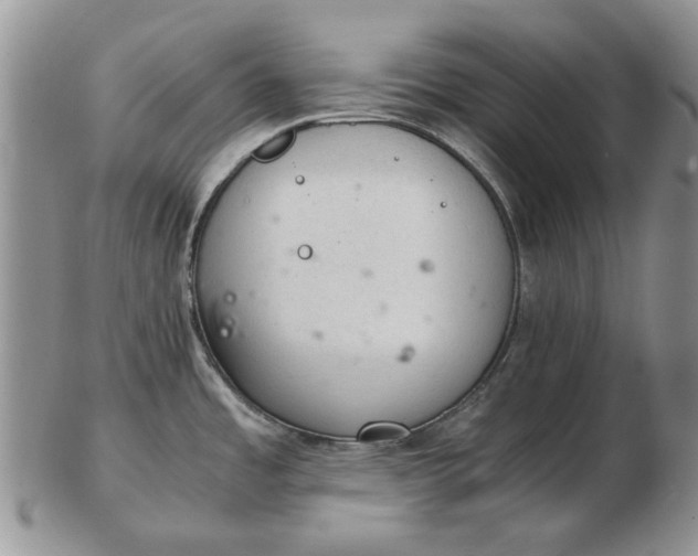 X0000103161485200809051648