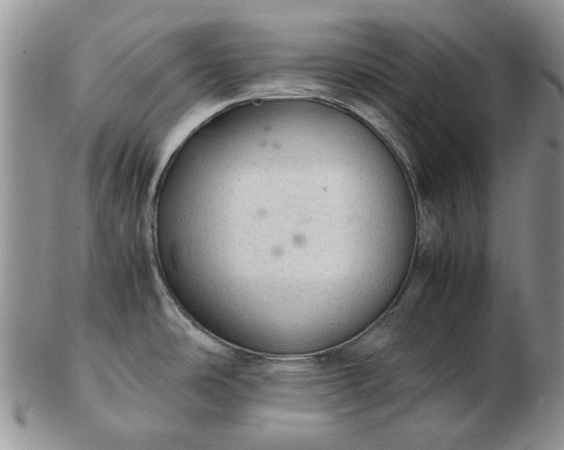 X0000103161486200809051648