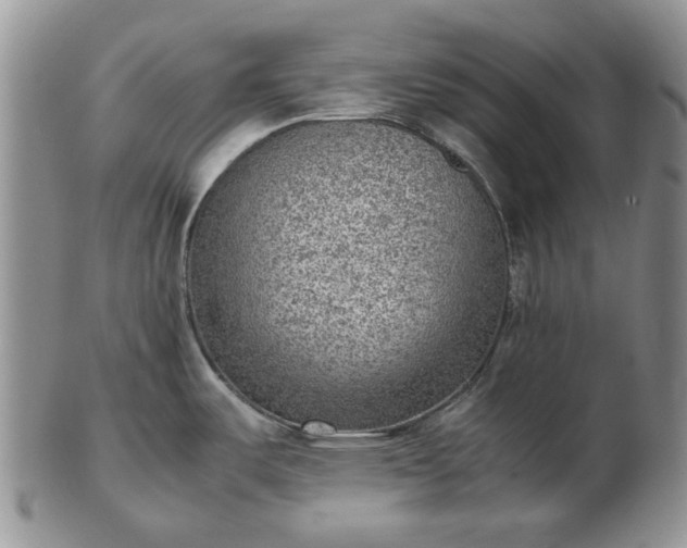 X0000103161487200809051648